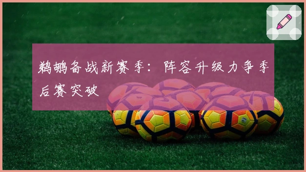 鹈鹕备战新赛季：阵容升级力争季后赛突破